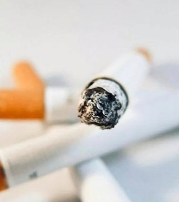 Nakit Sigara Satışı Yasaklanıyor: 2040’ta Tamamen Devre Dışı