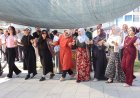 Van’da Hilberî Kadın Emeği Festivali’ne Yoğun İlgi: Müzik, Tiyatro ve Govend...