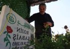 Rojin Kabaiş Dosyasında Adli Skandal: Kıyafetlerinden DNA Örneği Bile Alınmamış!