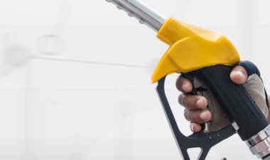 Motorine 6 Lira İndirim – Raf Fiyatlarına Anında Yansıdı